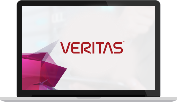 Veritas Partner